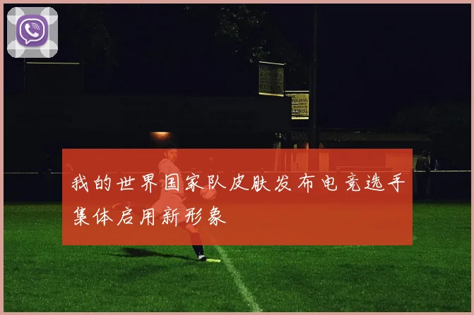 我的世界国家队皮肤发布电竞选手集体启用新形象