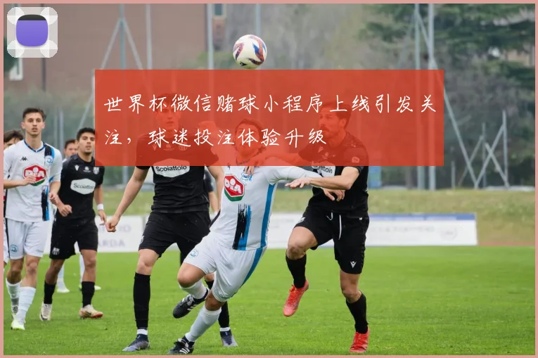 世界杯微信赌球小程序上线引发关注，球迷投注体验升级